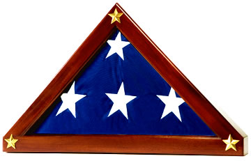 American eagle flag case